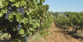 Clos de l'Ours