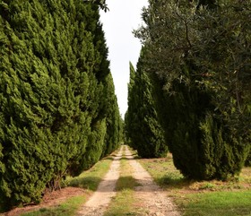 Château Saint-Esprit