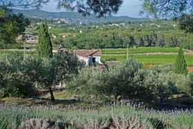 Domaine Rabiega