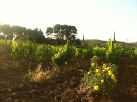 Domaine Rabiega
