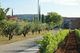Domaine Rabiega