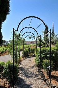 Domaine Rabiega