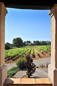 Domaine Rabiega