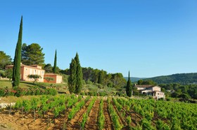 Domaine Rabiega