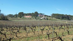Domaine Rabiega