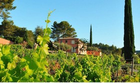 Domaine Rabiega