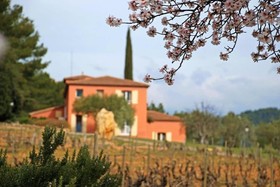 Domaine Rabiega