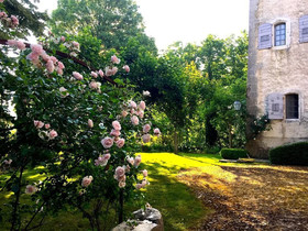 Château d'Esparron