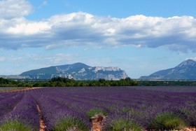 Domaine du Thronnet - Odesia Vacances
