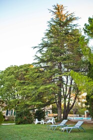 Best Western Hôtel Le Val Majour
