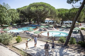Huttopia Ile De Ré-Chardons bleus