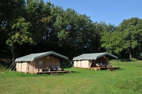 Les Ânes de Forcalquier