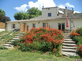 Les Ânes de Forcalquier