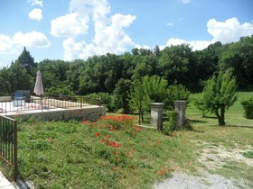 Les Ânes de Forcalquier