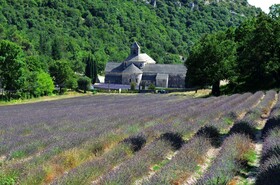 La Bastide Des Lavandieres