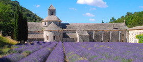 Villas Du Luberon - Clos Vitaline