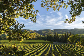 Villas Du Luberon - Clos Vitaline
