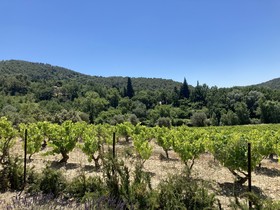 Au Soleil Du Bonheur