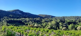 Au Soleil Du Bonheur