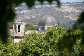Aux Oiseaux De Provence