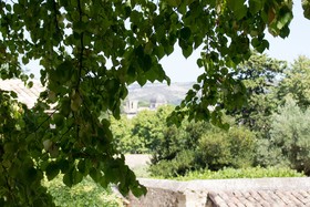 Aux Oiseaux De Provence