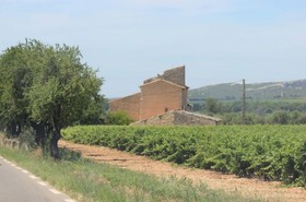 Perle De Provence - Gites