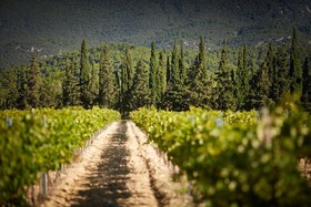 Domaine de Fontenille