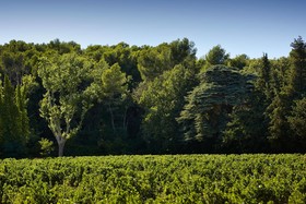 Domaine de Fontenille