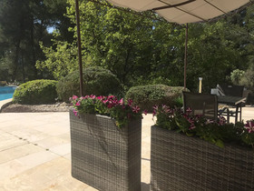 Une Pause En Provence