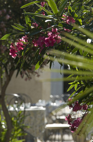 Hotel Benvengudo