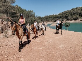Les Ecuries Du Mas Di Gau