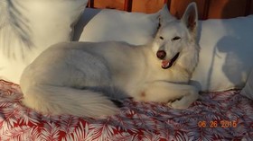 Bed & Breakfast Le Beaugart