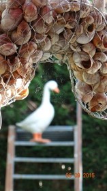 Bed & Breakfast Le Beaugart