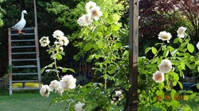 Bed & Breakfast Le Beaugart