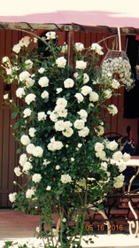 Bed & Breakfast Le Beaugart