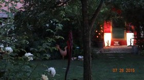 Bed & Breakfast Le Beaugart