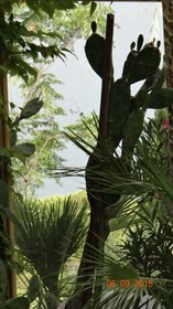 Bed & Breakfast Le Beaugart