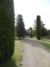 Les Bastides De L'Auviduery