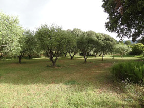 Les Bastides De L'Auviduery