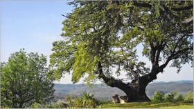 La Chesnaie