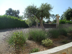 Villa Verdi