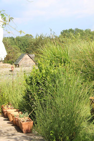 Chez Elles En Provence