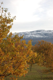 Chez Elles En Provence