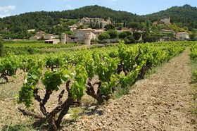 Hotel Le Pradet