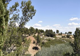Les Garrigues de la Vallée des Baux Paradou