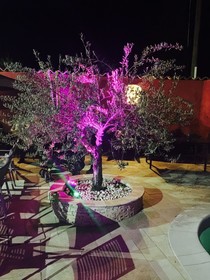 Auberge Les Galets