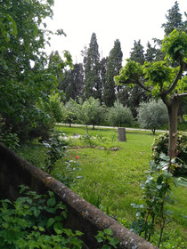 Le rêve d'Emma Chambres d'hôtes