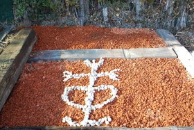 Ô Yourtes De Provence