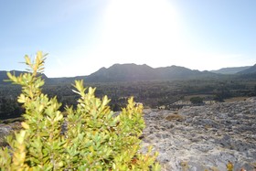 Ô Yourtes De Provence