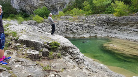 Les Hirondelles